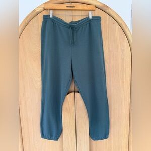 Madewell MWL Jogger Sweats Wintergreen Size L
